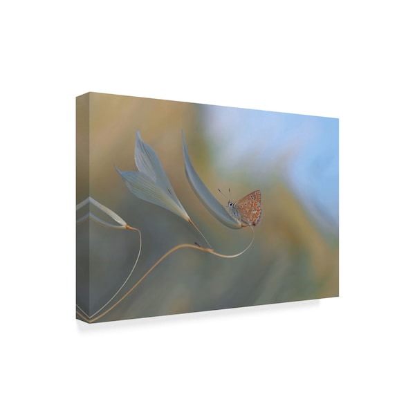 Thierry Dufour 'Resting Smoothly' Canvas Art,22x32